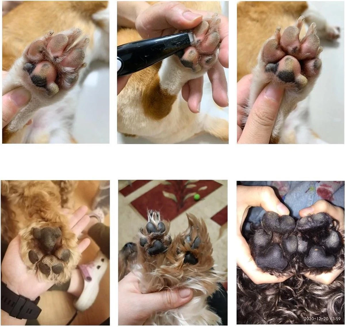 Merkloos Premium Tondeuse Voor Honden Of Katten - Dierentondeuse Oplaadbaar - Ook Bij Tenen, Ogen & Oren - Draadloze Haartrimmer 9 Merkloos Premium Tondeuse Voor Honden Of Katten - Dierentondeuse Oplaadbaar - Ook Bij Tenen, Ogen & Oren - Draadloze Haartrimmer - Afbeelding 7