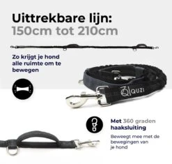 Canicross Looplijn Hond Met Heupriem Voor Hardlopen - Elastische Handsfree Hondenriem - Honden Trainingslijn - 150/210cm - Zwart -Hondenbenodigdheden 1200x1140 2