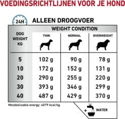 Royal Canin Hypoallergenic - Hondenvoer - 2 Kg -Hondenbenodigdheden 1200x1142 11