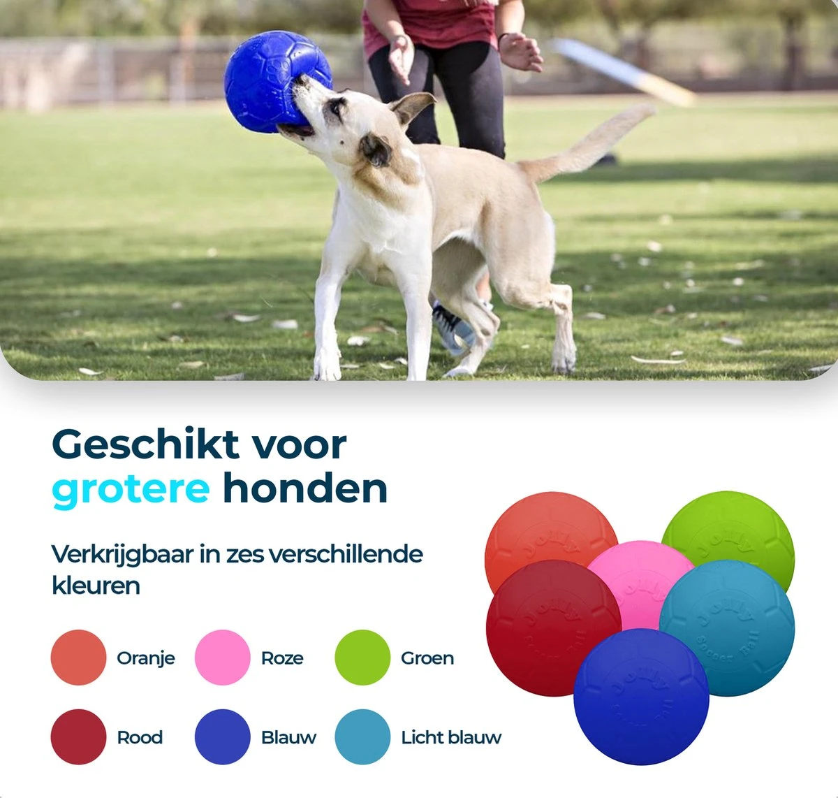 Jolly Pets Jolly Soccer Ball – Hondenspeelgoed – Hondenspeeltjes Voor Binnen En Buiten – Hondenbal Voor Honden – Hondenvoetbal – Jollyflex Stevig Kunststof – Drijvend Hondenspeeltje – Ø20cm – Licht Blauw 8 Jolly Pets Jolly Soccer Ball – Hondenspeelgoed – Hondenspeeltjes Voor Binnen En Buiten – Hondenbal Voor Honden – Hondenvoetbal – Jollyflex Stevig Kunststof – Drijvend Hondenspeeltje – Ø20cm – Licht Blauw - Afbeelding 6
