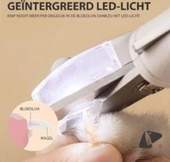 PETKIT® Professionele Dieren Nagelknipper - Nagelknipper Hond - Met LED - Met Vijl - Nageltang 16 PETKIT® Professionele Dieren Nagelknipper - Nagelknipper Hond - Met LED - Met Vijl - Nageltang -Hondenbenodigdheden 1200x1143 11