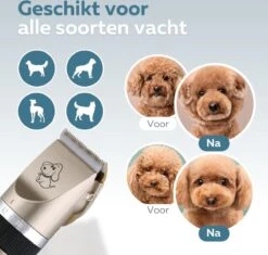 BYER Professionele Dieren Tondeuse Set - Voor Huisdieren Katten & Honden - Draadloos - Oplaadbare Pet Trimmer - Dog Tondeuze Clipper - 5 Standen & Vier Opzetkammen - Low Noise 14 BYER Professionele Dieren Tondeuse Set - Voor Huisdieren Katten & Honden - Draadloos - Oplaadbare Pet Trimmer - Dog Tondeuze Clipper - 5 Standen & Vier Opzetkammen - Low Noise -Hondenbenodigdheden 1200x1144 1