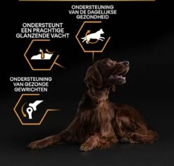 Pro Plan Everyday Nutrition Large Athletic Adult - Honden Droogvoer - Kip - 14 Kg 28 Pro Plan Everyday Nutrition Large Athletic Adult - Honden Droogvoer - Kip - 14 Kg -Hondenbenodigdheden 1200x1146 10