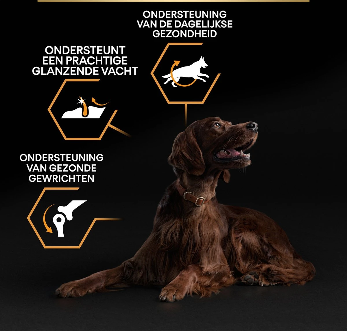 Pro Plan Everyday Nutrition Large Athletic Adult - Honden Droogvoer - Kip - 14 Kg 14 Pro Plan Everyday Nutrition Large Athletic Adult - Honden Droogvoer - Kip - 14 Kg - Afbeelding 12