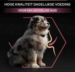 Pro Plan Medium Puppy Sensitive Skin - Honden Droogvoer - Zalm - 12 Kg 29 Pro Plan Medium Puppy Sensitive Skin - Honden Droogvoer - Zalm - 12 Kg -Hondenbenodigdheden 1200x1146 13