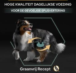Pro Plan Graanvrij Medium & Large Adult Sensitive Digestion - Honden Droogvoer- Kalkoen - 12 Kg 39 Pro Plan Graanvrij Medium & Large Adult Sensitive Digestion - Honden Droogvoer- Kalkoen - 12 Kg -Hondenbenodigdheden 1200x1146 19