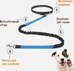 Hardloopriem Hond – Honden Riem Handsfree – Hardlopen Met Hond – 160-260 Cm Blauw - Hardloopband Hond – Halsband Hond – Hondenlijn – Leiband Hond -Hondenbenodigdheden 1200x1146