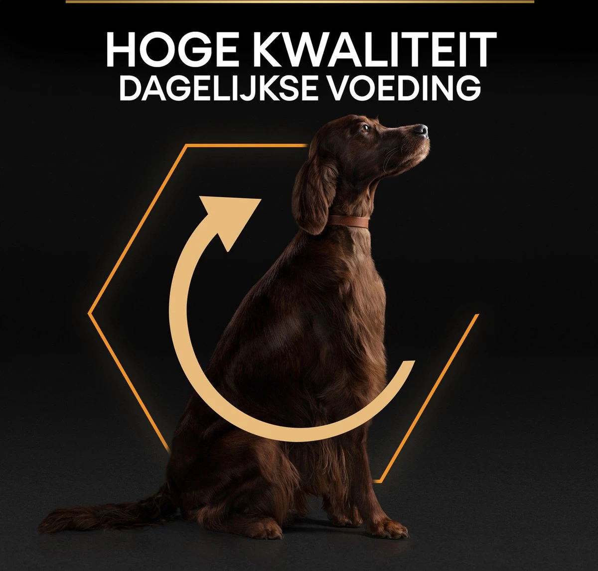 Pro Plan Everyday Nutrition Large Athletic Adult - Honden Droogvoer - Kip - 14 Kg 13 Pro Plan Everyday Nutrition Large Athletic Adult - Honden Droogvoer - Kip - 14 Kg - Afbeelding 11