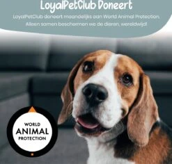 Loyalpetclub® Professionele 2-in-1 Hondentondeuse Voor Dikke Vacht – Draadloze Honden Tondeuse & Hondentrimmer – Stille Tondeuse Katten & Honden Trimset - Inclusief Opbergtasje -Hondenbenodigdheden 1200x1148 5