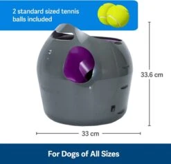 PetSafe Automatische Ballenwerper - Dierenspeelgoed -Hondenbenodigdheden 1200x1154 5