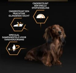 Pro Plan Everyday Nutrition Adult Small & Mini - Honden Droogvoer - Kip - 3 Kg 32 Pro Plan Everyday Nutrition Adult Small & Mini - Honden Droogvoer - Kip - 3 Kg -Hondenbenodigdheden 1200x1155 8
