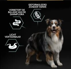 Pro Plan Graanvrij Medium & Large Adult Sensitive Digestion - Honden Droogvoer- Kalkoen - 12 Kg 37 Pro Plan Graanvrij Medium & Large Adult Sensitive Digestion - Honden Droogvoer- Kalkoen - 12 Kg -Hondenbenodigdheden 1200x1157 6