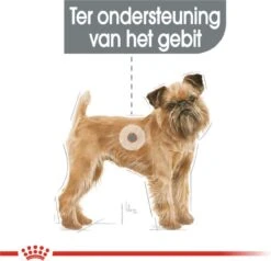 Royal Canin Ccn Dental Care Mini - Hondenvoer - 3 Kg 14 Royal Canin Ccn Dental Care Mini - Hondenvoer - 3 Kg -Hondenbenodigdheden 1200x1158 2