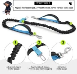 BOTC Looplijn Hond Met Heupriem Voor Hardlopen - Met Drinkbak Hond - Hondenriem - 1 Roll Poep Zakjes - Zwart 21 BOTC Looplijn Hond Met Heupriem Voor Hardlopen - Met Drinkbak Hond - Hondenriem - 1 Roll Poep Zakjes - Zwart -Hondenbenodigdheden 1200x1159 1