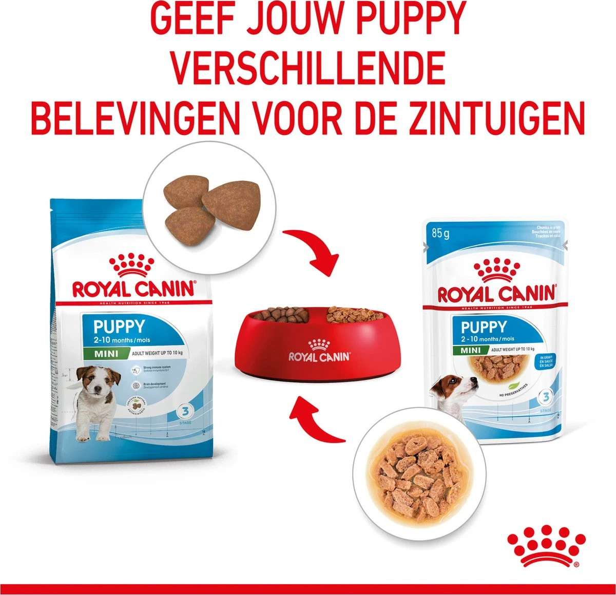 Royal Canin Shn Mini Puppy Pouch - Hondennatvoer - 12 X 85 G 8 Royal Canin Shn Mini Puppy Pouch - Hondennatvoer - 12 X 85 G - Afbeelding 6