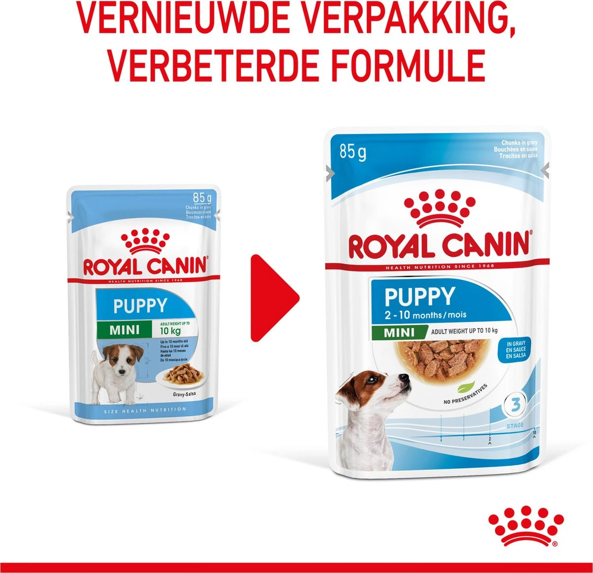 Royal Canin Shn Mini Puppy Pouch - Hondennatvoer - 12 X 85 G 14 Royal Canin Shn Mini Puppy Pouch - Hondennatvoer - 12 X 85 G - Afbeelding 12