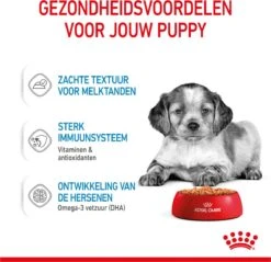 Royal Canin Shn Medium Puppy Pouch - Hondenvoer - 10 X 140 G 25 Royal Canin Shn Medium Puppy Pouch - Hondenvoer - 10 X 140 G -Hondenbenodigdheden 1200x1159 24