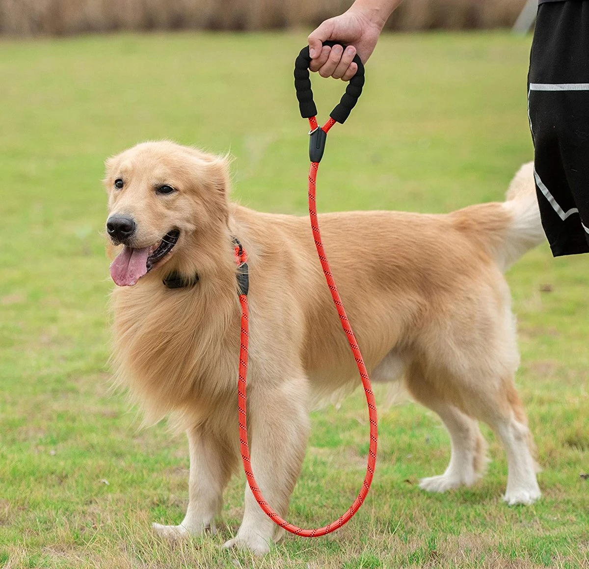 Comfortabele Hondenriem Met Gevoerd Handvat – Stevige Nylon Hondenlijn – Riem Voor Honden 6 Comfortabele Hondenriem Met Gevoerd Handvat – Stevige Nylon Hondenlijn – Riem Voor Honden - Afbeelding 4