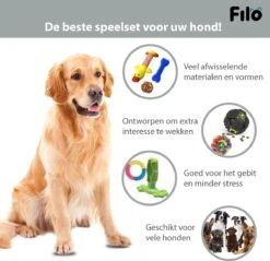 Filo Honden Speelgoed Set 14 Stuks - Hondenspeeltjes Knuffel - Hondenbal - Flostouw - Bot - Frisbee - Hondentouw - Hondenspeelgoed Intelligentie - Kauwspeelgoed Hond En Puppy - Bijtspeelgoed Hondenknuffel - Hondenspeeltje Met Piep -Hondenbenodigdheden 1200x1160 11