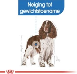 Royal Canin Light Weight Care Medium - Hondenvoer - 12 Kg 20 Royal Canin Light Weight Care Medium - Hondenvoer - 12 Kg -Hondenbenodigdheden 1200x1160 3