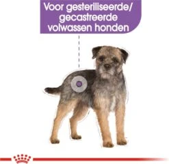Royal Canin Ccn Sterilised Wet - Hondenvoer - 12x85 G -Hondenbenodigdheden 1200x1160 4