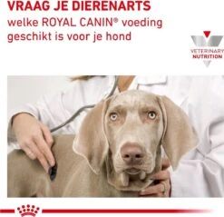 Royal Canin Hypoallergenic - Hondenvoer - 2 Kg -Hondenbenodigdheden 1200x1161 13
