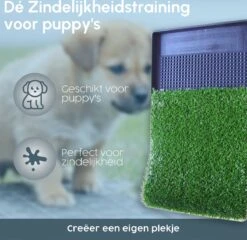Merkloos Gtrise Hondentoilet Met 2 Matten - Out/Indoor - Zindelijkheidstraining Ebook - Dieren Wc 13 Merkloos Gtrise Hondentoilet Met 2 Matten - Out/Indoor - Zindelijkheidstraining Ebook - Dieren Wc -Hondenbenodigdheden 1200x1164 4