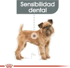 Royal Canin Ccn Dental Care Mini - Hondenvoer - 3 Kg 16 Royal Canin Ccn Dental Care Mini - Hondenvoer - 3 Kg -Hondenbenodigdheden 1200x1164 7
