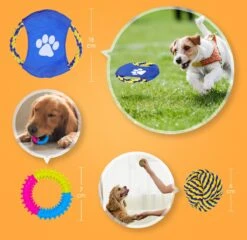 Nobleza Honden Speelgoed Set PLJ - 10 Stuks 19 Nobleza Honden Speelgoed Set PLJ - 10 Stuks -Hondenbenodigdheden 1200x1165 16