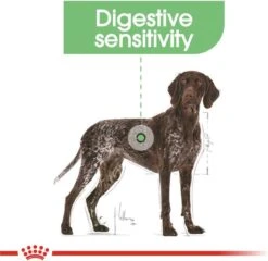 Royal Canin Digestive Care Maxi - Hondenvoer - 12 Kg -Hondenbenodigdheden 1200x1167 16