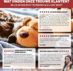 Vulpes Pets® Knuffel Hond Met Hartslag – Puppyknuffel - Hondenknuffel Voor Puppy - Snuggle Puppy - Knuffel Met Hartslag En Gratis Warmte Pad Speciaal Voor Puppy's -Hondenbenodigdheden 1200x1167 19