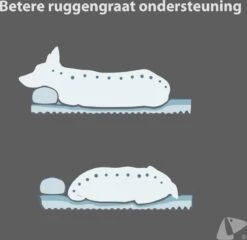 PETKIT® Deep Sleep Bed - Hondenmand - Kattenmand - Memory Foam - Orthopedisch - Maat M -Hondenbenodigdheden 1200x1168 14