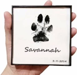 Merkloos Paw Print Pad - Pootafdruk Maken Van Hond Of Kat -Hondenbenodigdheden 1200x1169 10