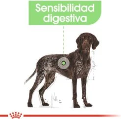 Royal Canin Digestive Care Maxi - Hondenvoer - 12 Kg -Hondenbenodigdheden 1200x1169 5