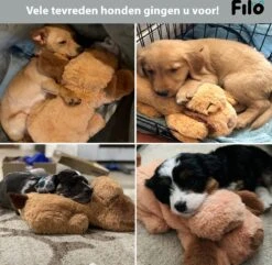 Filo Hondenknuffel Met Hartslag En Warmtebron - Hartslagknuffel Hondenspeelgoed Snuggle Puppy - Knuffel Met Hartslag - Heartbeat Knuffel Hond 15 Filo Hondenknuffel Met Hartslag En Warmtebron - Hartslagknuffel Hondenspeelgoed Snuggle Puppy - Knuffel Met Hartslag - Heartbeat Knuffel Hond -Hondenbenodigdheden 1200x1170 20