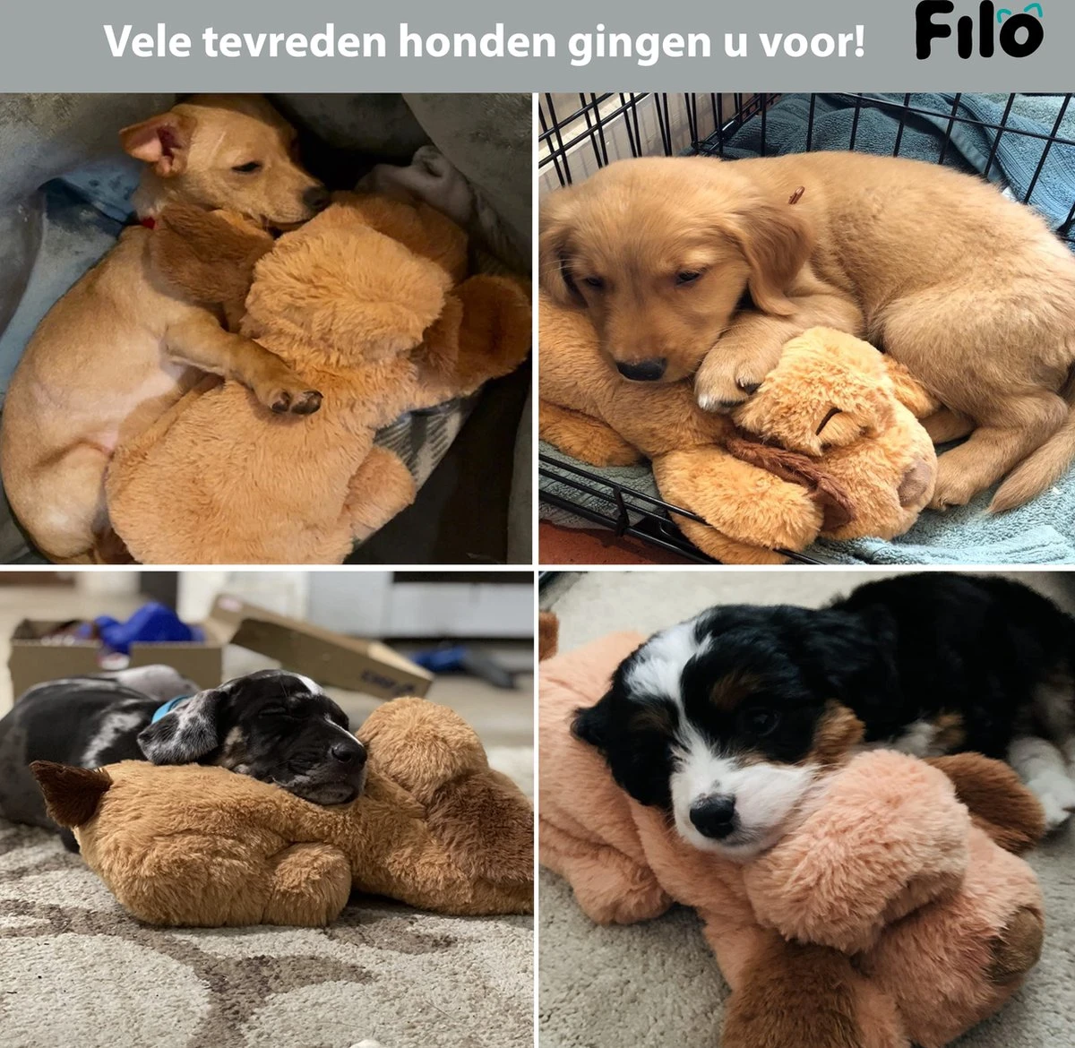 Filo Hondenknuffel Met Hartslag En Warmtebron - Hartslagknuffel Hondenspeelgoed Snuggle Puppy - Knuffel Met Hartslag - Heartbeat Knuffel Hond 7 Filo Hondenknuffel Met Hartslag En Warmtebron - Hartslagknuffel Hondenspeelgoed Snuggle Puppy - Knuffel Met Hartslag - Heartbeat Knuffel Hond - Afbeelding 5