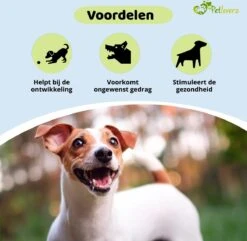 Petloverz Ballen Set - Honden Speelgoed - Intelligentie - Ballen - 6 Stuks 9 Petloverz Ballen Set - Honden Speelgoed - Intelligentie - Ballen - 6 Stuks -Hondenbenodigdheden 1200x1170 22