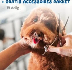 Pawwy Dieren Tondeuse Set Draadloos Voor Honden En Katten – Voor Dikke Vacht - Hondentondeuse – Hondentrimmer - Scheerapparaat - Goud 22 Pawwy Dieren Tondeuse Set Draadloos Voor Honden En Katten – Voor Dikke Vacht - Hondentondeuse – Hondentrimmer - Scheerapparaat - Goud -Hondenbenodigdheden 1200x1170 4