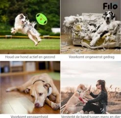 Filo Honden Speelgoed Set 14 Stuks - Hondenspeeltjes Knuffel - Hondenbal - Flostouw - Bot - Frisbee - Hondentouw - Hondenspeelgoed Intelligentie - Kauwspeelgoed Hond En Puppy - Bijtspeelgoed Hondenknuffel - Hondenspeeltje Met Piep -Hondenbenodigdheden 1200x1171 14