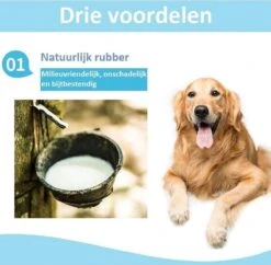 Tandenborstel + TANDPASTA Hond Melk Geur Smaak En Piep Honden Speelgoed - Cactus Dog Toy Tandverzorging Kauwbotten Hondenspeelgoed Hondenbot Kauwstaaf Tanden Puppy Hondenspeeltje Sterk Kauwspeelgoed - Dutchwide 16 Tandenborstel + TANDPASTA Hond Melk Geur Smaak En Piep Honden Speelgoed - Cactus Dog Toy Tandverzorging Kauwbotten Hondenspeelgoed Hondenbot Kauwstaaf Tanden Puppy Hondenspeeltje Sterk Kauwspeelgoed - Dutchwide -Hondenbenodigdheden 1200x1175 12