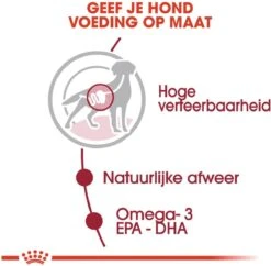 Royal Canin Shn Medium Adult Pouch - Hondenvoer - 10 X 140 G 15 Royal Canin Shn Medium Adult Pouch - Hondenvoer - 10 X 140 G -Hondenbenodigdheden 1200x1175 6