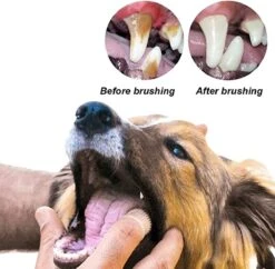 Doodadeals® 4 Stuks Siliconen Honden Tandenborstel - Tanden Borstel Hond - Silicone Dog Tootbrush - Multikleur -Hondenbenodigdheden 1200x1175 9