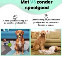 Petloverz – Honden Speelgoed Set – Honden Speeltjes – Knuffel - Speelgoed – Intelligentie – 15 Speeltjes -Hondenbenodigdheden 1200x1177 9