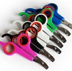 Doodadeals® | Nagelschaar Kat | Nagelschaar Hond | Nagelschaar Konijn | Nagelschaar Cavia | Multi Color | 1 Stuk 9 Doodadeals® | Nagelschaar Kat | Nagelschaar Hond | Nagelschaar Konijn | Nagelschaar Cavia | Multi Color | 1 Stuk -Hondenbenodigdheden 1200x1178 4