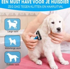 Professionele Ondervacht Kam Voor Hond En Kat S – Hondenborstel – Kattenborstel - Hondenkam –Anti Klit - Haarverwijderaar Voor Huisdieren - Pijnloos - Huisdiervriendelijk – Klittenkam - Voorkomt Haaruitval - Kleine Variant- Black Friday - Sinterklaas 10 Professionele Ondervacht Kam Voor Hond En Kat S – Hondenborstel – Kattenborstel - Hondenkam –Anti Klit - Haarverwijderaar Voor Huisdieren - Pijnloos - Huisdiervriendelijk – Klittenkam - Voorkomt Haaruitval - Kleine Variant- Black Friday - Sinterklaas -Hondenbenodigdheden 1200x1178 6