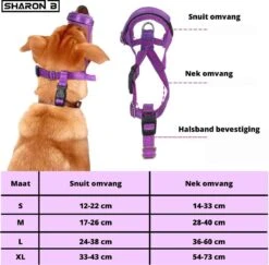 Sharon-B Muilkorf Turquoise Maat S - Fleece - Reflecterend - Kleine Hond 13 Sharon-B Muilkorf Turquoise Maat S - Fleece - Reflecterend - Kleine Hond -Hondenbenodigdheden 1200x1179 2