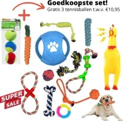 Hondenbenodigdheden 22 (Goedkoopste) Honden Speelgoed Set 15 Stuks Geschikt Voor Puppy's T/m Middelgrote Honden - Honden Kauw Speelgoed - 15 Stuks - Hondenspeeltjes - Intelligentie - Touw - Flostouw - Bijtring - Bal - Huisdieren Speelgoed
