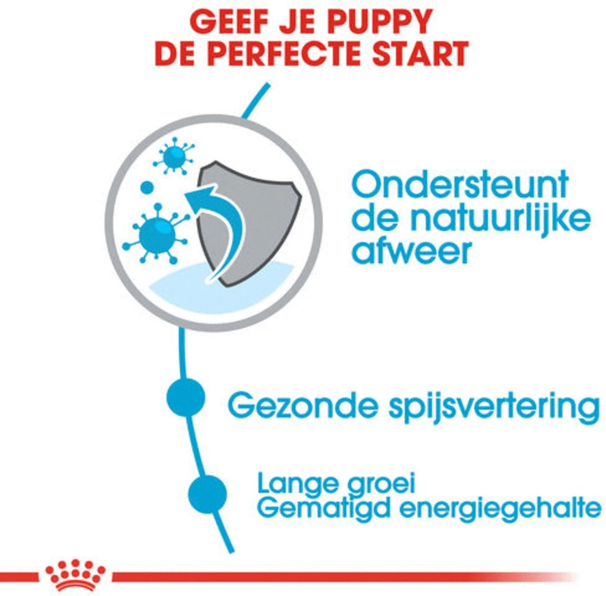 Royal Canin Maxi Junior - Hondenvoer - 10 Kg 4 Royal Canin Maxi Junior - Hondenvoer - 10 Kg - Afbeelding 2