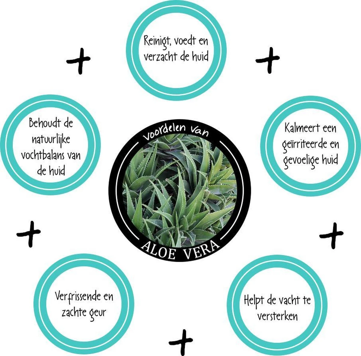 Greenfields Vacht Verzorging Set Voor Honden Shampoo, Conditioner & Droogshampoo 6 Greenfields Vacht Verzorging Set Voor Honden Shampoo, Conditioner & Droogshampoo - Afbeelding 4