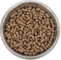 Hondenbenodigdheden -Hondenbenodigdheden 1200x1186 13